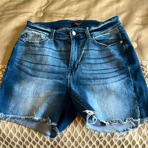 Judy Blue Denim Shorts 1X